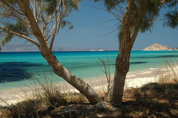 Faros Small & Restaurant Hotel 3*