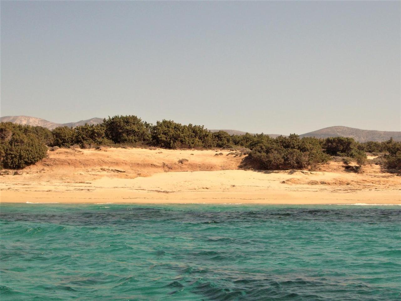 Hotel Faros Small & Restaurant Plage d'Aliko