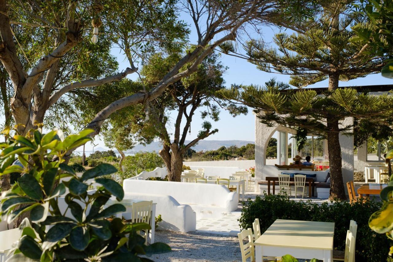 Hotel Faros Small & Restaurant Aliko Beach